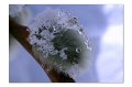 Winter M 11